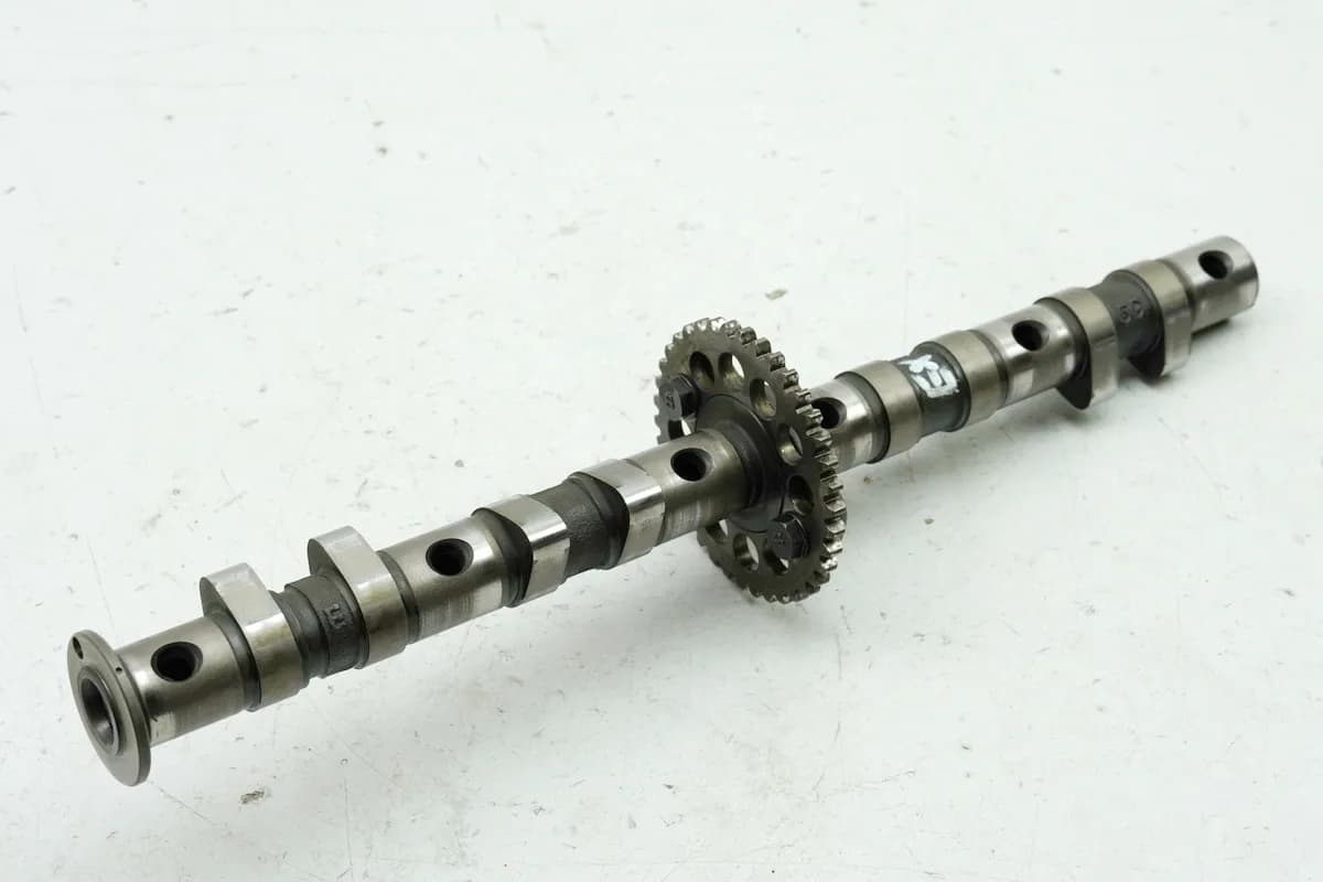YAMAHA FZS 600 RJ02 FAZER Nockenwelle Auslass Camshaft EX für Motor Zylinderkopf