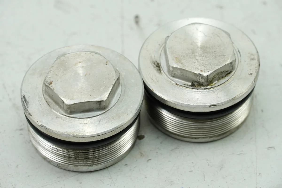 YAMAHA FZS 600 RJ02 FAZER Gabel Verschluß Schraube Stopfen Kappe - Paar