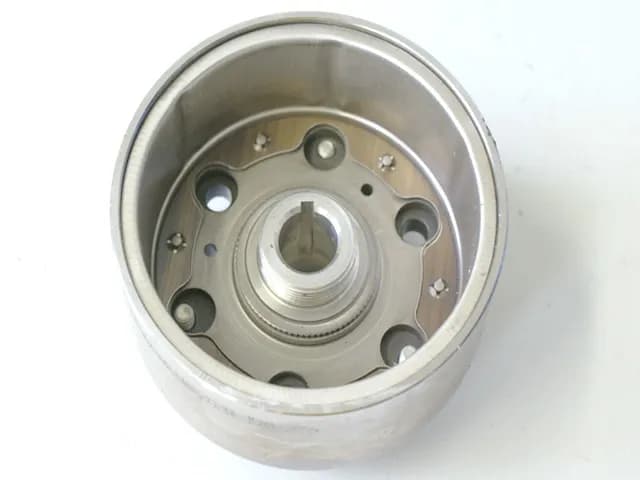 HONDA FES 125 JF05 PANTHEON LIMA ROTOR POLRAD LICHTMASCHINE