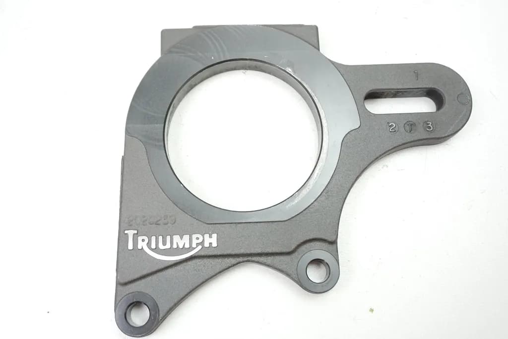 TRIUMPH SPEED TRIPLE 955 i 595 N ANKERPLATTE BREMSSATTEL HINTEN