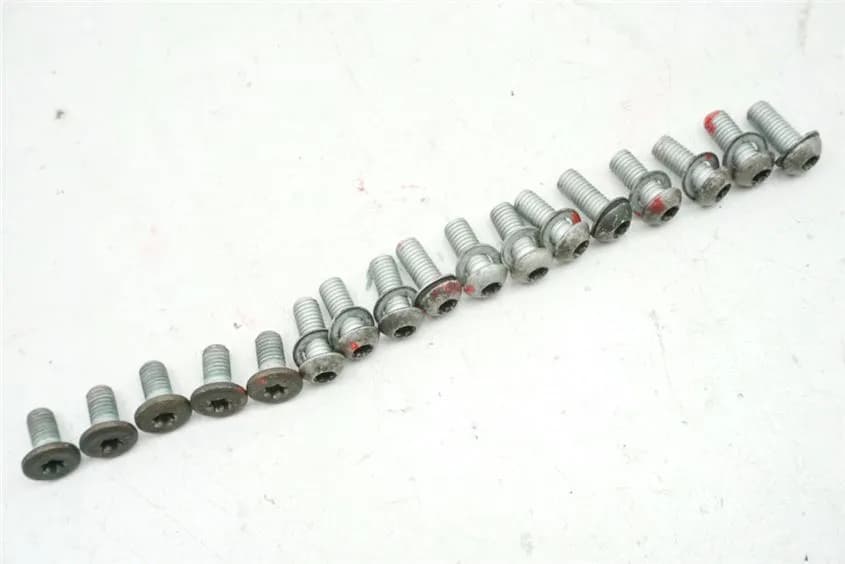 BMW R 850 R 259 SCHRAUBEN BREMSSCHEIBEN VORN & HINTEN