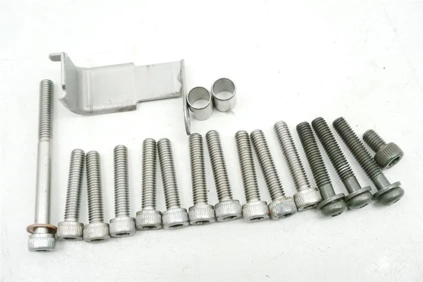 YAMAHA XV 1600 VP08 WILD STAR SCHRAUBEN LIMADECKEL STATOR MOTOR