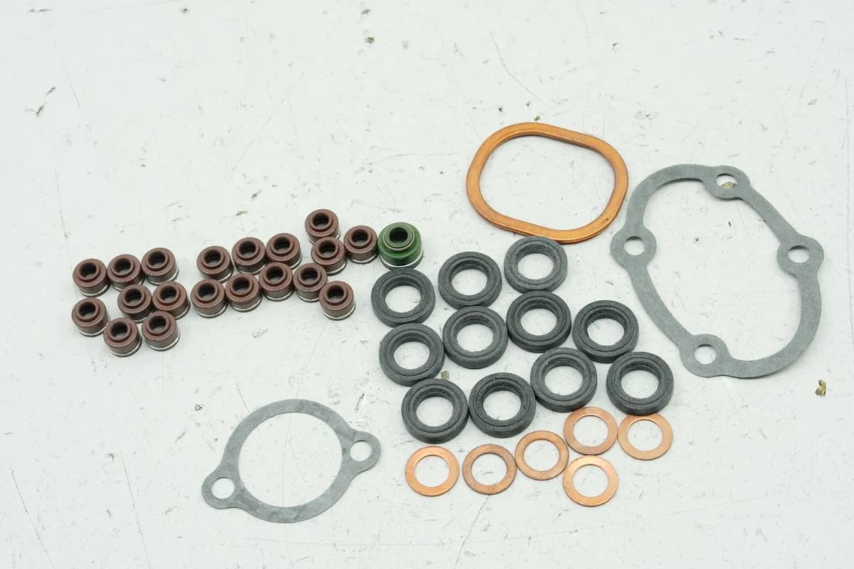 TRIUMPH Ventilschaftdichtungen Dichtungen für Zylinderkopf Motor