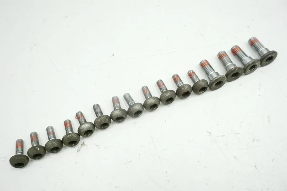 HONDA VTR 1000 SC36 FIRESTORM Schrauben Bremsscheibe vorn & hinten