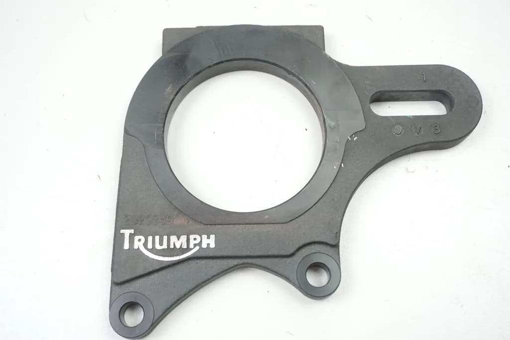 TRIUMPH SPEED TRIPLE 955 i T509 ANKERPLATTE BREMSSATTEL