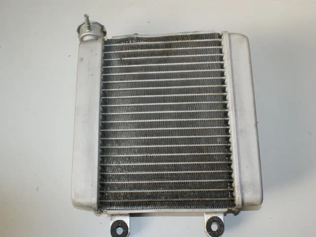 HONDA FES 125 JF12 PANTHEON KÜHLER WATER COOLER