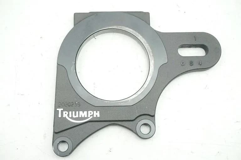 TRIUMPH SPEED TRIPLE 885 i T509 ANKERPLATTE BREMSSATTEL HINTEN