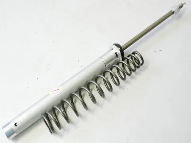 MV AGUSTA 910 BRUTALE F4 Gabel Innenteile Dämpfer Feder Kartusche